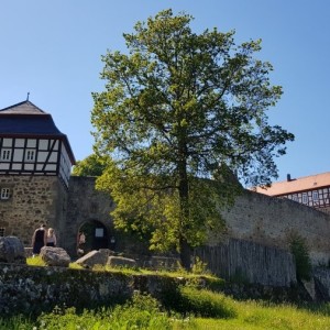 Jürgen von Dörnberg - Neuer Burghauptmann der Burg Herzberg